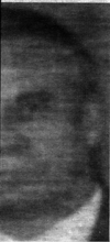 vs4-3f.gif (21968 bytes)